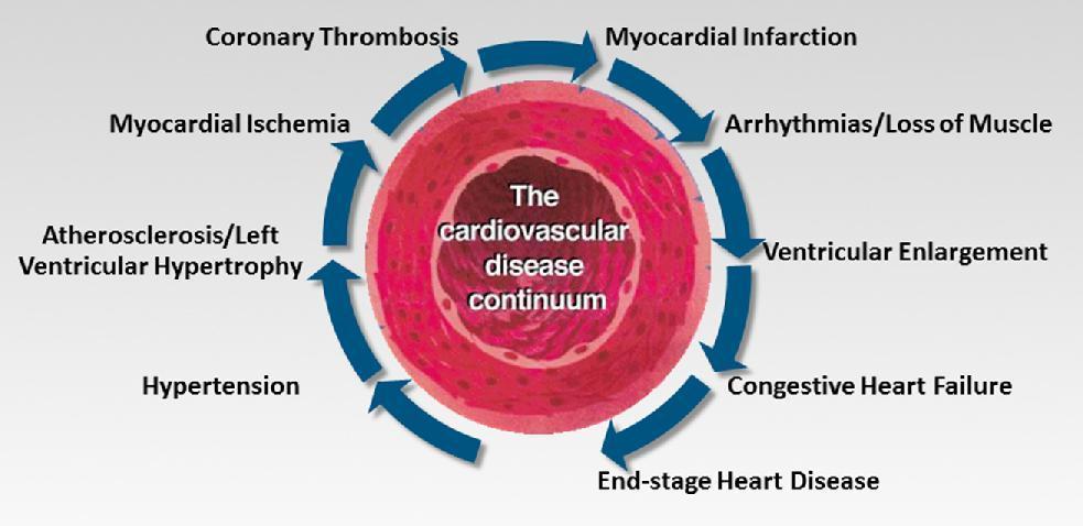 Cardiovascular disease continuum Adapted from