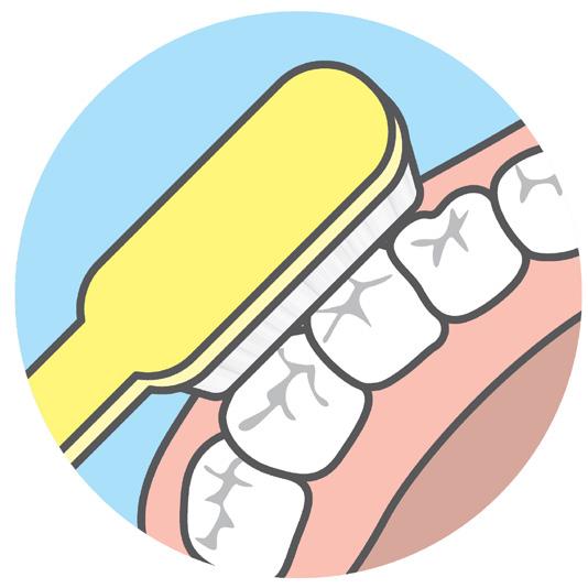 Toothbrushing and flossing are the best ways to help prevent cavities, but it is not easy to clean every nook and cranny of your children s teeth especially the molars, those back teeth that are used
