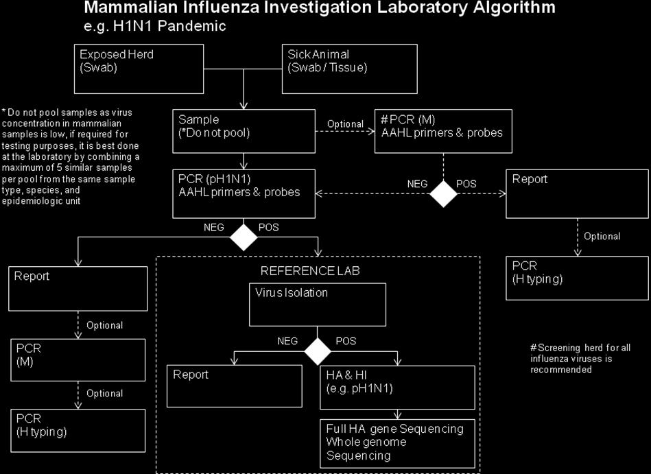 Harmonized ph1n1 diagnostic algorithm from FAORAP Guidance Document