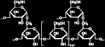 (C) Branching is at every 7-20 residues. (D) The linkages at the branches are alpha (1:4).