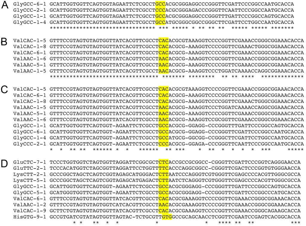 Supplemental Figure 3 Multiple sequence alignment of trna genes from which 5 trhs could have originated. (a) Nucleotide sequences of trna genes from which 5 trh Gly ( Gly[C/G]CC ) could originate.