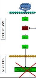 BRAF Inhibitor Resistance Need to avoid resistance and paradoxical activation of MEK/ERK signaling in RAS mutant cells Combined dabrafenib and trametinib (MEK inhibitor) TNF-a EGFR MKI BRAF