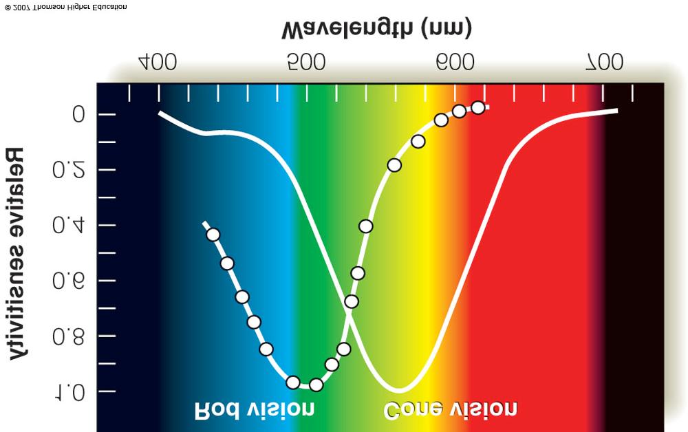 Spectral Sensitivity The top diagram represents the threshold curve, which shows how much energy is needed to detect different wavelength of the spectrum.