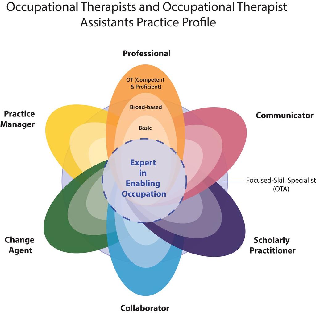 Occupational Therapy and OTA Practice Profile Continuum The original model, which depicts the role-based profile of occupational therapy competencies (CAOT, 2007d), was adapted to include the full