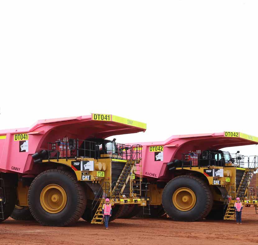 pinks to launch the first pink trucks at Roy Hill It is imperative we raise attention to the plight and need for tackling breast cancer, and provide more funding for critical support and research.
