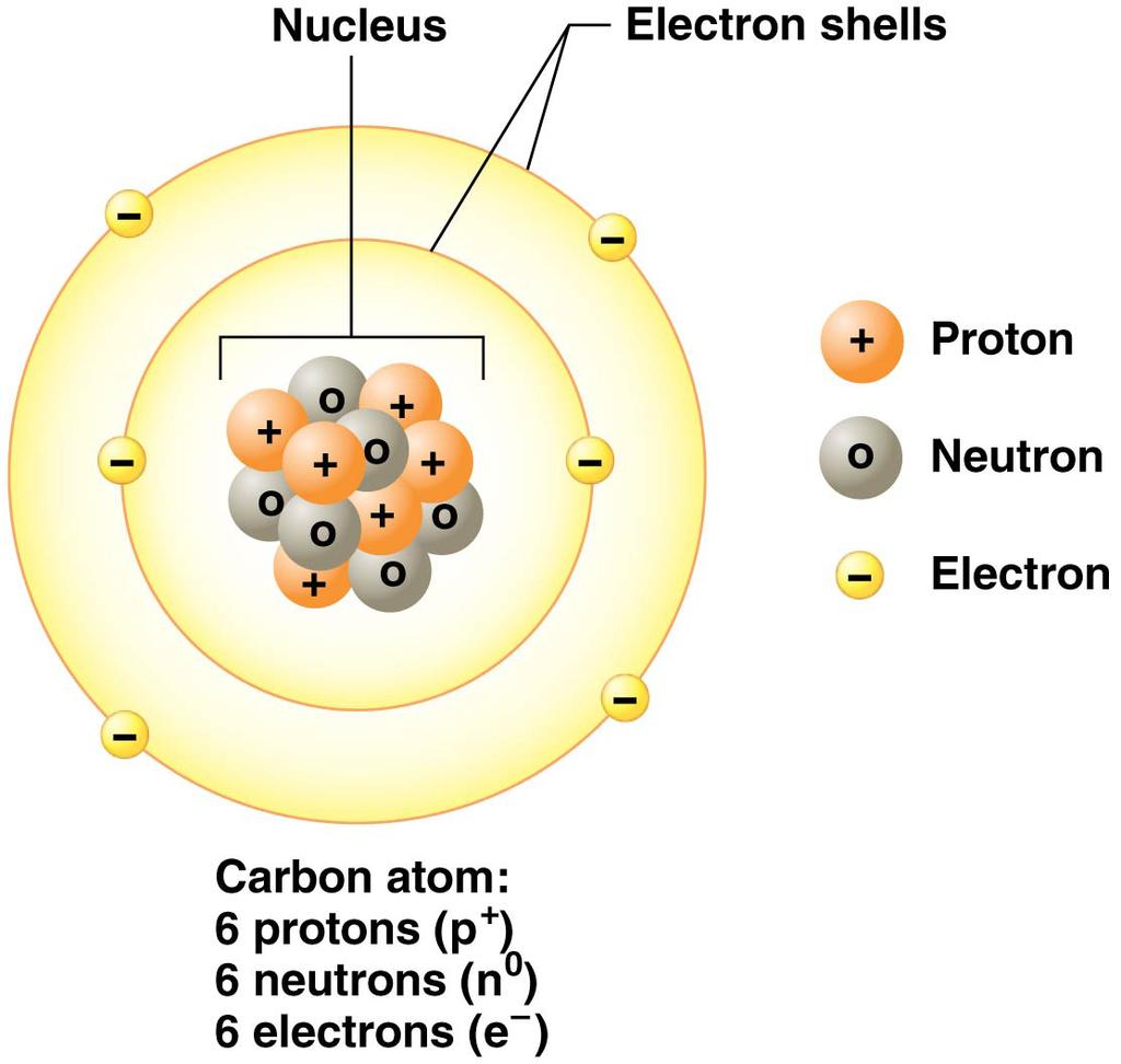 structures called subatmic particles ELEMENTS IN THE PERIODIC TABLE AND THE HUMAN BODY The human bdy is made