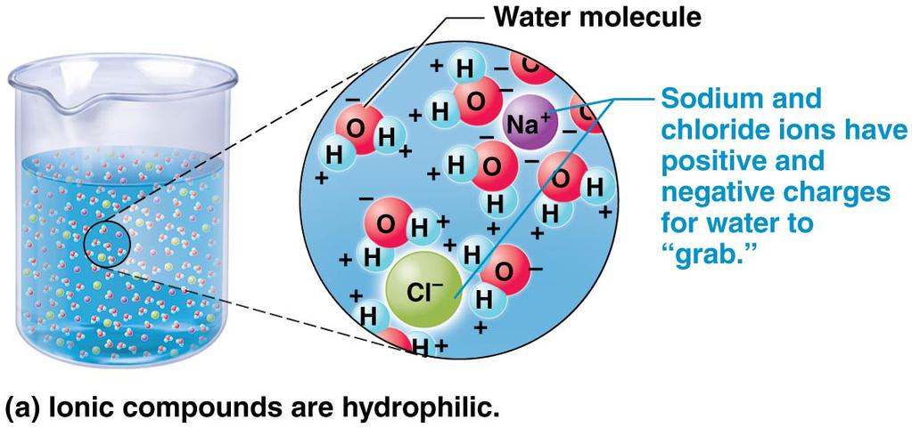 bnded t hydrgen; include water, acids, bases, and salts thse that d cntain carbn bnded t hydrgen Als 7