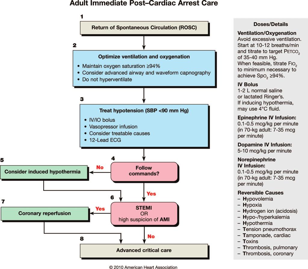 Peberdy et al Part 9: Post Cardiac Arrest Care S769 Figure. Post cardiac arrest care algorithm. patients usually require an advanced airway for mechanical support of breathing.