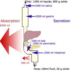 (I) Basic principle of absorption Almost all