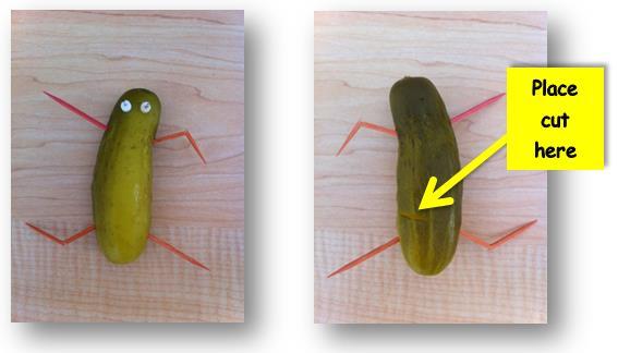 Pickle #4 Insert one of the remaining pieces of paper clip within the upper right portion of