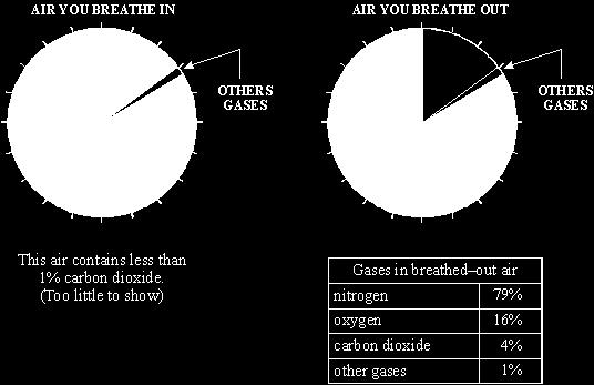 (3) Use the information above to complete the following sentences. The air you breathe out contains more... than the air you breathe in.