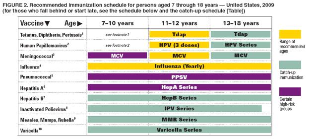 2008 US Recommended Immunization Schedule for Children 7 18