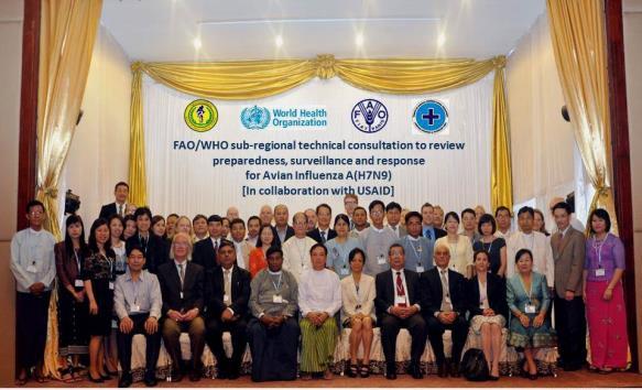 HPAI & LPAI: Activities in 2013/2014 OFFLU Technical Meeting: Vaccination as a control tool against HPAI (Beijing, December 2013) FAO/WHO
