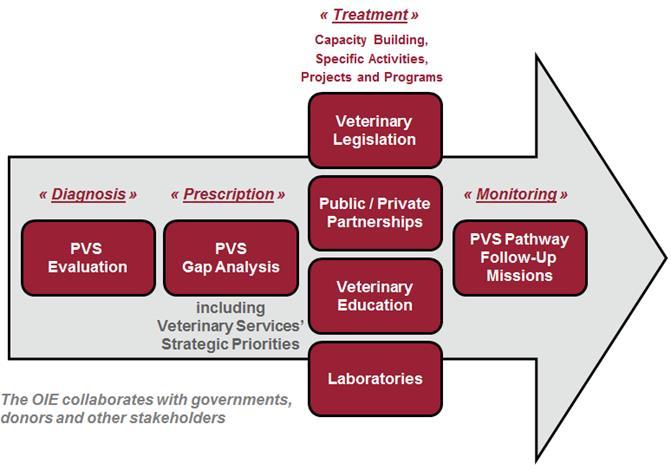 OIE PVS Pathway Support to the quality of Veterinary Services