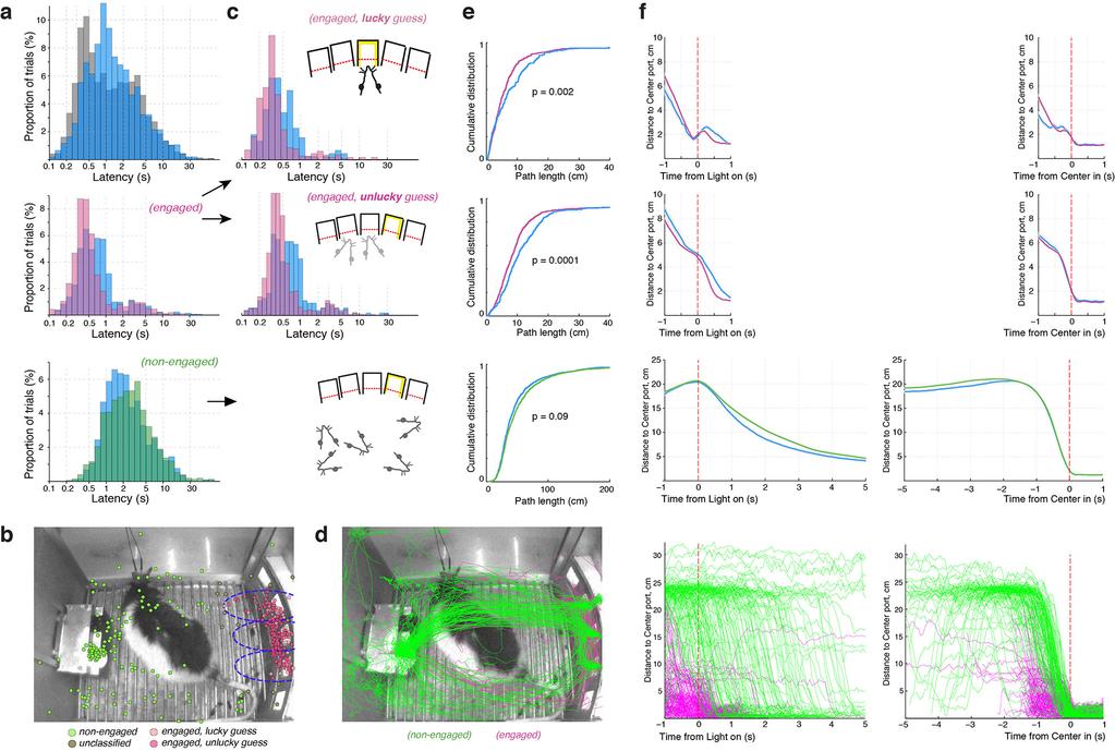 Supplementary Figure 9 Video analysis of optogenetic effects on latency.