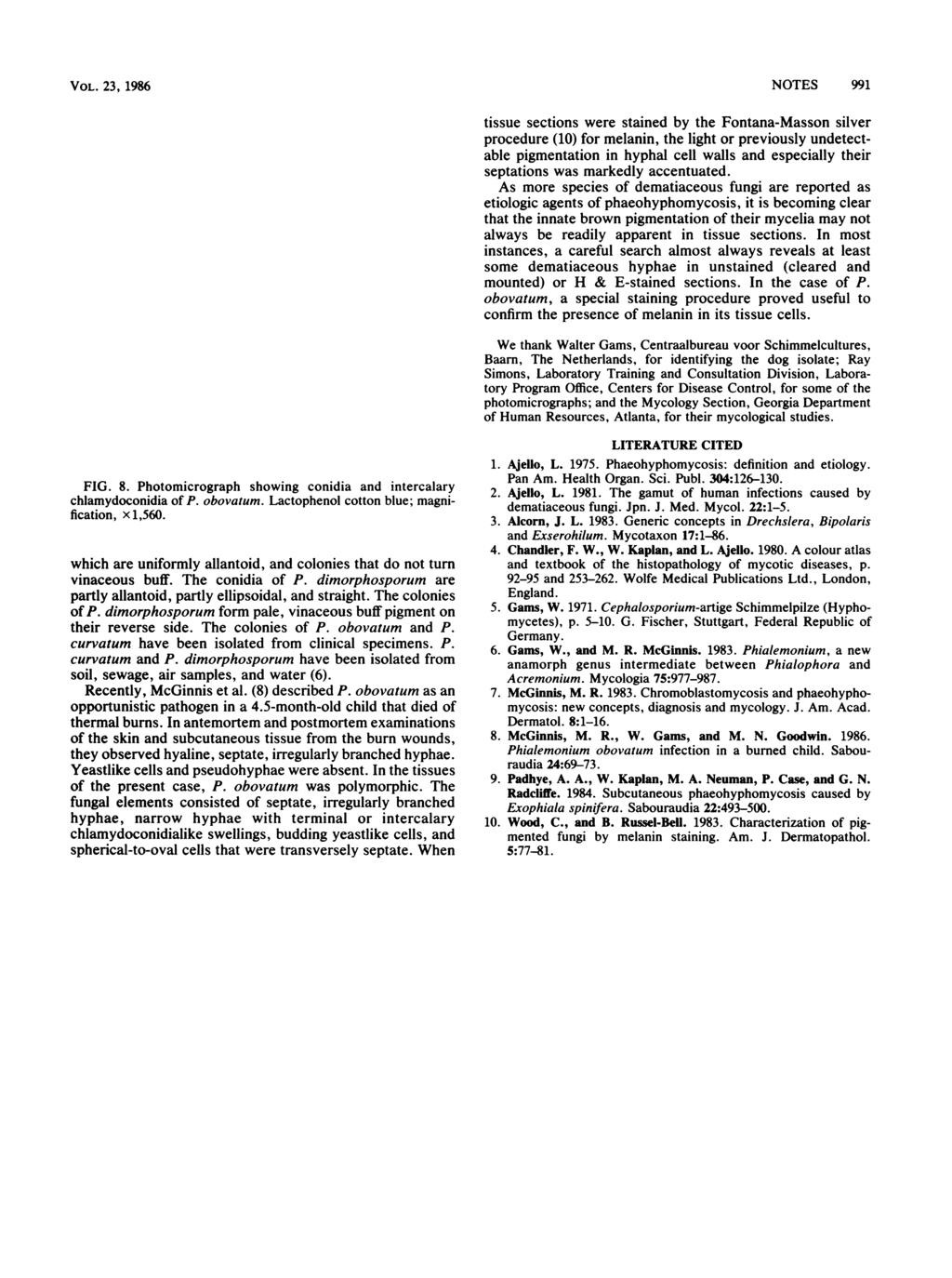 VOL. 23, 1986 FIG. 8. Photomicrograph showing conidia and intercalary chlamydoconidia of P. obovatum. Lactophenol cotton blue; magnification, x 1,560.