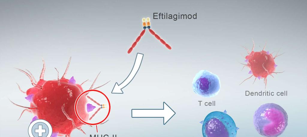 turning cold tumors into hot tumors with LAG-3) ynergistic with other