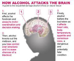 Alcohol and the Body Alcohol can cause brain damage, depression, and digestive problems over time.