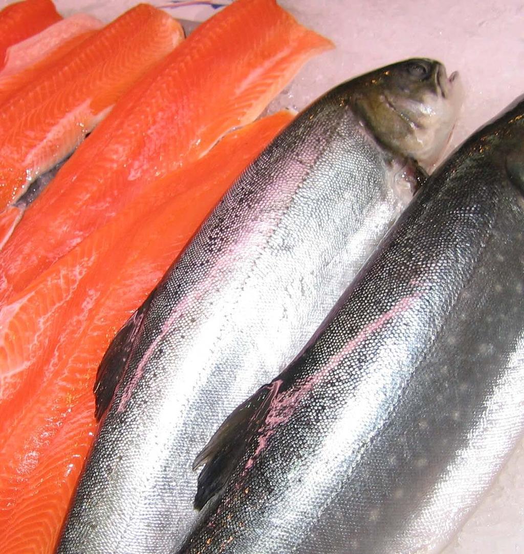Facts about facts Artic charr is: Is one of the highest species in omega 3 Is very rich in