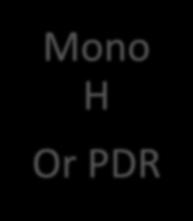 Treatment Regimen and Monitoring Mono H Or PDR Levofloxacin