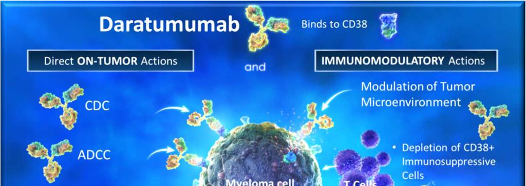 Background Daratumumab Human monoclonal antibody targeting CD38 Direct on-tumor and immunomodulatory MoA -5 Approved As monotherapy for heavily pretreated RRMM by the FDA, EMA, Health Canada, Mexico,