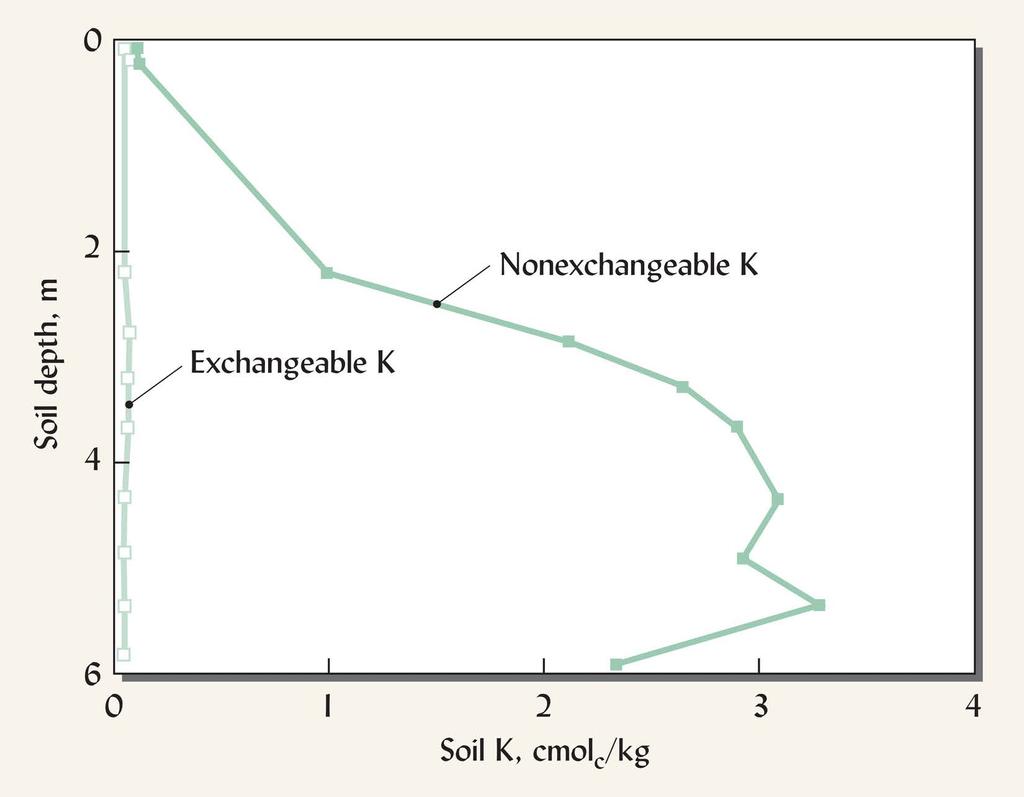 Nonexchangeable K is an Important Long-Term K Reservoir in Soil Ultisol from South