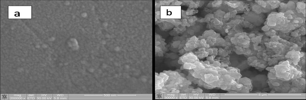 SEM studies: SEM shows that the material is uniform nano scale size (30-50 nm) for puta 16, however heated sample shows agglomerated particles (Fig 5).
