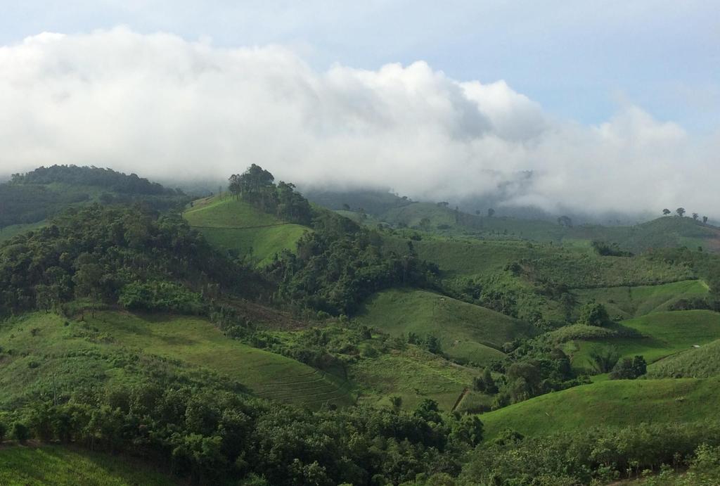 PART I: OVERVIEW Rolling hills in Chiang Rai,
