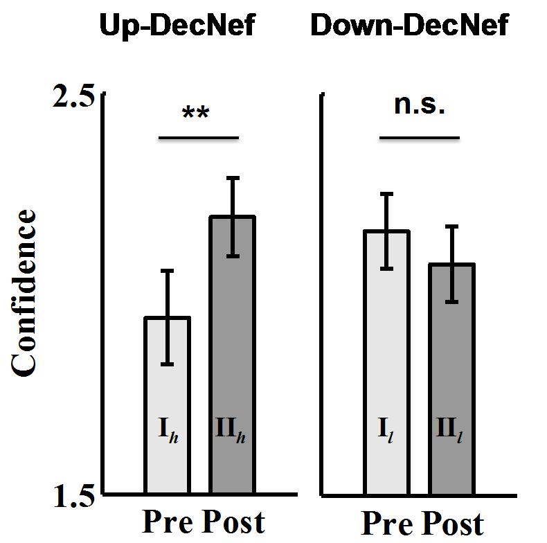 No change in direction discrimination accuracy by DecNef (decoded neurofeedbck) Significant increase in confidence by high confidence DecNef DecNef