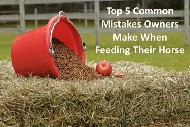 Five Common Mistakes Made When Feeding A Horse Posted on July 14, 2013 by Eco_Equine 89 In my travels as a certified FeedMaster equine nutrition specialist I visited 100s of horse farms.