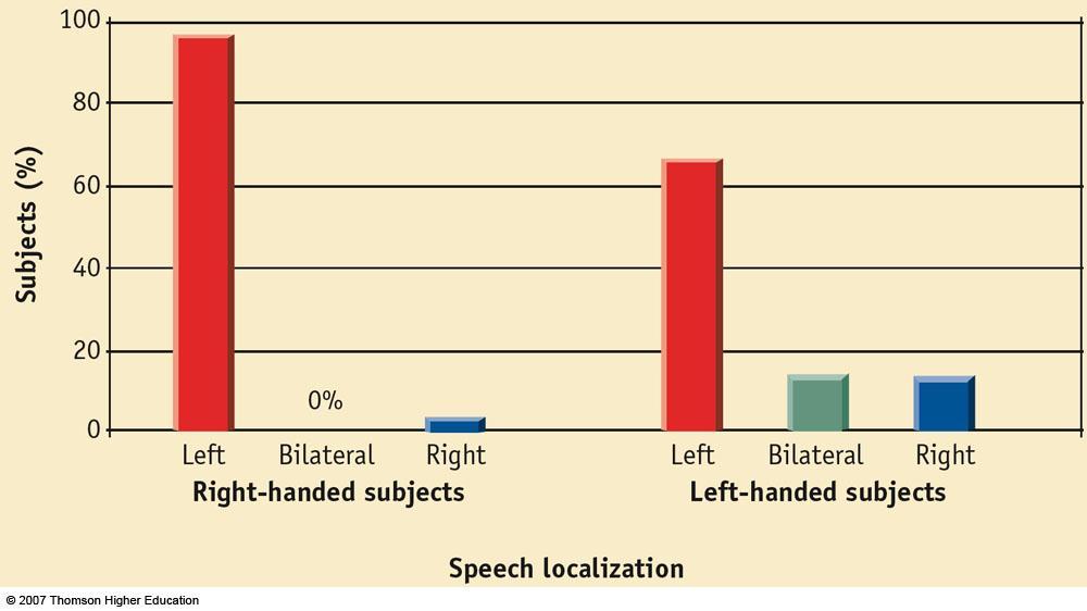 speech localization
