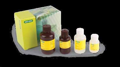 Advance Your Research with FastCast Acrylamide Solutions FastCast acrylamide solutions bring the