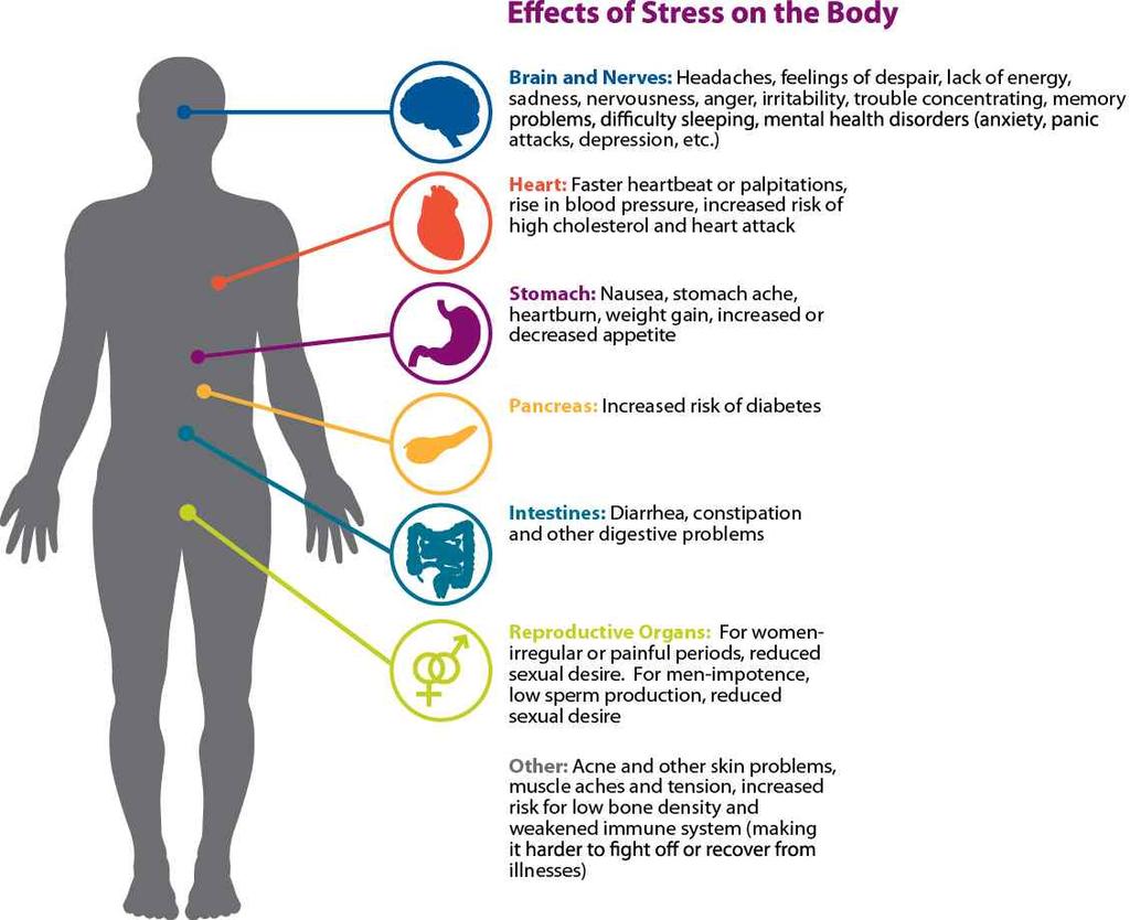 2) Effects of Stress on the Body Part 3.