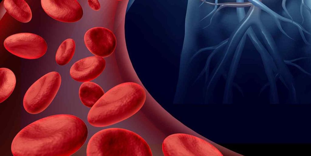 Blood Vessel Health, Cardiovascular Diseases