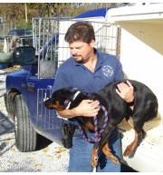 6 ANIMAL CONTROL SERVICES The JHD Animal Control Division has three Animal Control Officers (ACO) and provides comprehensive animal control services