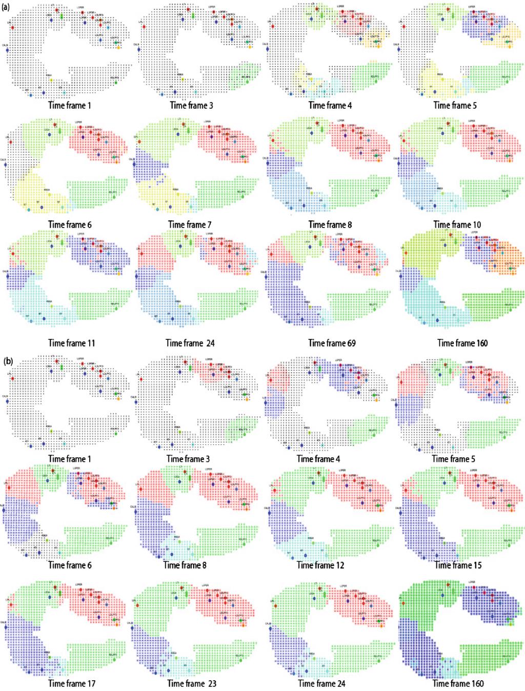 196 M.G. Doborjeh and N. Kasabov Fig. 3. Clusters centroids are predeﬁned and labeled by diﬀerent colors. Before training the SNNc by fmri data streams, the clusters had no members.