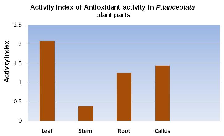 FIG 3: ACTIVITY INDEX OF ANTIOXIDANT ACTIVITY IN P.