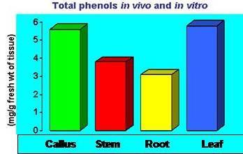in Fig 4. In callus, total phenols were slightly lower than in leaf. Minimum amount of phenols were measured in roots.