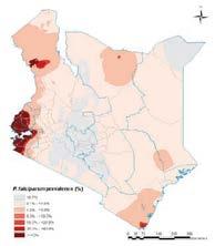 Slide 23 Malaria in Kenya All the four plasmodium species cause malaria infection in Kenya, However, Plasmodium falciparum is the predominant species.