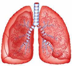 Pneumonitis Uncommon (monotherapy 5% lung, renal, 2% melanoma) (combination 5-10%) Median onset 3 months (1-19 months) Symptoms/signs include breathlessness, cough,