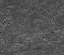 SUPPLEMENTARY INFORMATION Ag thin films were deposited onto the nanoporous