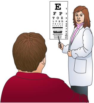 The middle part of the retina is called the macula and is responsible for sharp, central vision.