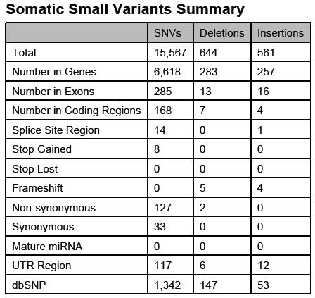 The Somatic Structural Variants Summary table reports the total number of identified events for each large variant type and the total