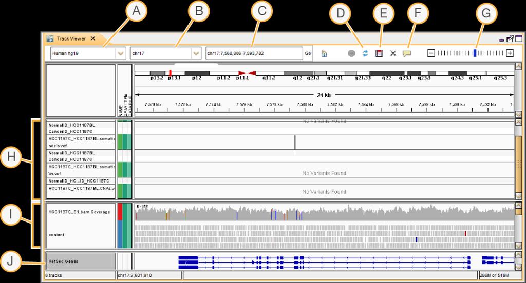menu at the top of the screen. Closing the BaseSpace Session tab provides more usable space for viewing the data. By default, the topmost panel of the Track Viewer shows the chromosome ideogram.