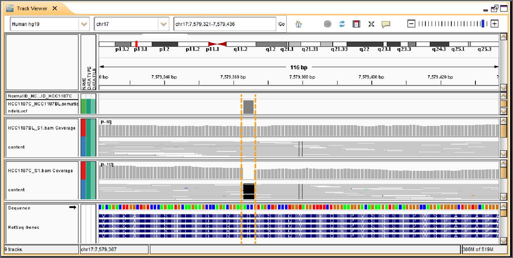 With the tracks loaded, the reference genome to which the data has previously been aligned is selected, which in this case is hg19.
