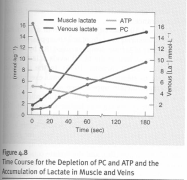Training Principles Intensity > 90% VO 2 max PC stores Rapid drop, slower drop ATP