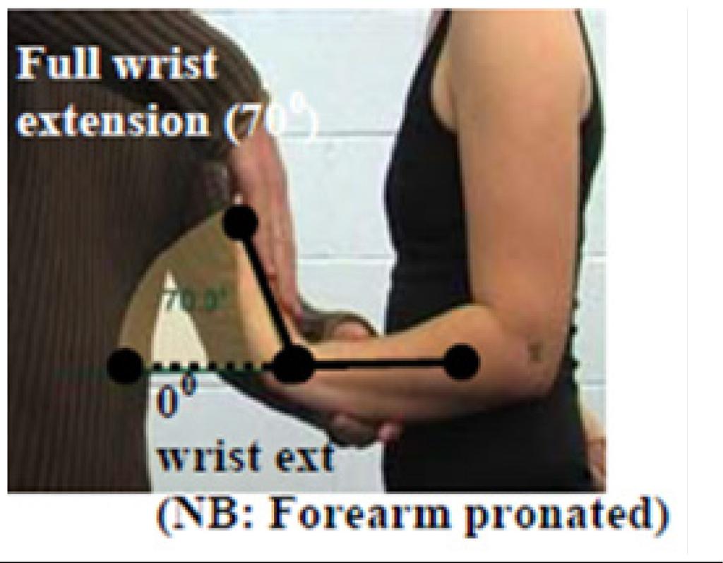 The figure shows manual resistance applied at full elbow extension, with the shoulder fully flexed.