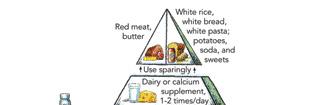 Anatomy of the Healthy Eating Pyramid. Activity is represented as the foundation of this pyramid. It is a reminder of the importance of daily physical activity and weight control.