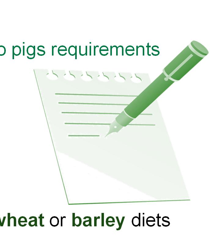3. Enzyme addition Role for enzymes when diets are formulated close to pigs requirements Improve FCE & financial benefit when feed price Most consistent results