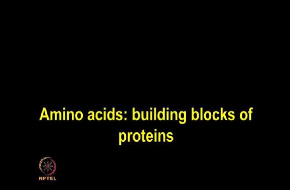 Amino acids, the building block of proteins. (Refer Slide Time: 00:43) Amino acids constitute the basic monomeric unit of proteins which are joined by the peptide bonds.